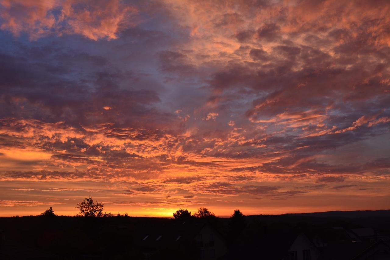 Ferienwohnung "Zum Paladin" Berg  ภายนอก รูปภาพ